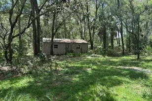 6594 N Gold Leaf Point, Dunnellon, FL 34433 - Photo 43