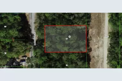 10305 N Allwood Terrace, Citrus Springs, FL 34434 - Photo 3