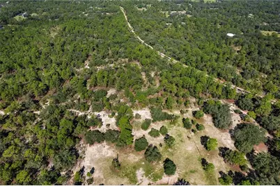 10806 N Statue Point, Dunnellon, FL 34433 - Photo 3