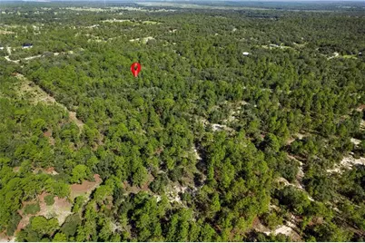 10806 N Statue Point, Dunnellon, FL 34433 - Photo 9