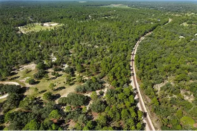 10806 N Statue Point, Dunnellon, FL 34433 - Photo 5