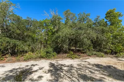 10806 N Statue Point, Dunnellon, FL 34433 - Photo 19