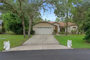 11 Tupelo Ct, Homosassa, FL 34446 - Photo 1
