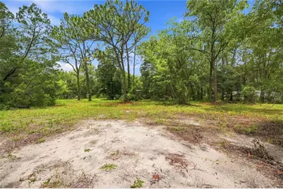 4734 S Slash Pine Avenue, Homosassa, FL 34446 - Photo 3