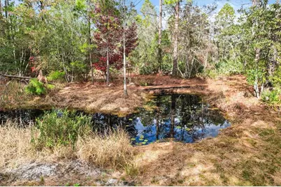 5323 S Monterey Way, Homosassa, FL 34448 - Photo 15