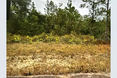 Lot 18 Oslo Place, Chipley, FL 32428 - Photo 3