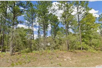 2175 W Galaxy Lane, Dunnellon, FL 34434 - Photo 1