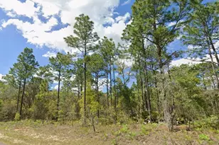 2193 W Galaxy Ln, Dunnellon, FL 34434 - Photo 1