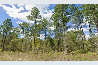 2193 W Galaxy Lane, Dunnellon, FL 34434 - Photo 3