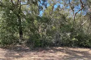 1534 W Magenta Dr, Citrus Springs, FL 34434 - Photo 1
