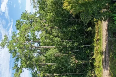 0 Gobbler Road, Astor, FL 32102 - Photo 23