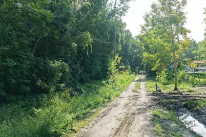 0 Gobbler Road, Astor, FL 32102 - Photo 21