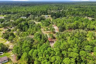 7410 W Newcastle Ct, Dunnellon, FL 34433 - Photo 47