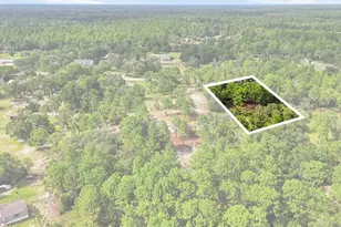 7410 W Newcastle Ct, Dunnellon, FL 34433 - Photo 49