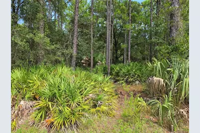 2659 S Bolton Avenue, Homosassa, FL 34448 - Photo 9