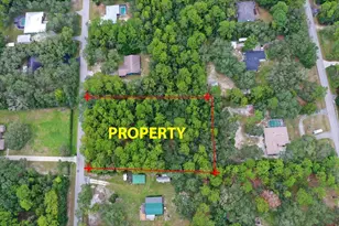 2659 S Bolton Ave, Homosassa, FL 34448 - Photo 1