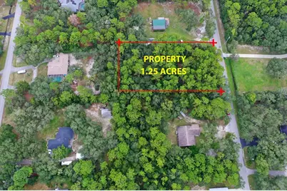 2659 S Bolton Avenue, Homosassa, FL 34448 - Photo 5