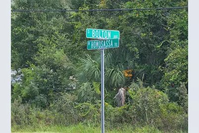 2659 S Bolton Avenue, Homosassa, FL 34448 - Photo 7