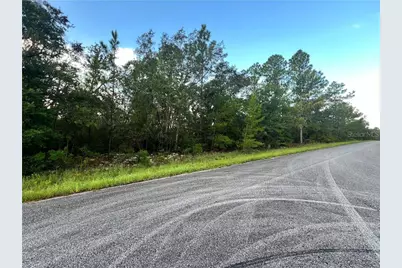 6538 N Whispering Drive, Dunnellon, FL 34434 - Photo 3