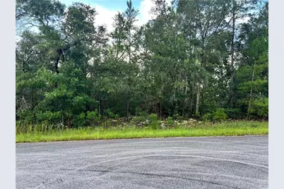 6538 N Whispering Drive, Dunnellon, FL 34434 - Photo 5