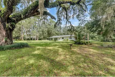11031 NE 145th Street, Fort Mc Coy, FL 32134 - Photo 19