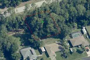 7953 N Golfview Dr, Citrus Springs, FL 34434 - Photo 1