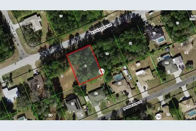 7953 N Golfview Drive, Citrus Springs, FL 34434 - Photo 3