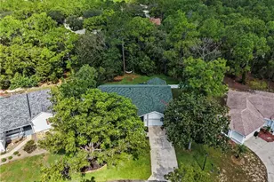 10 Colubrina Ct, Homosassa, FL 34446 - Photo 51
