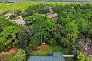 10 Colubrina Ct, Homosassa, FL 34446 - Photo 53