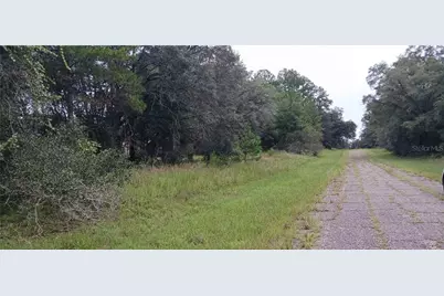 1623 E Ivydale Drive, Dunnellon, FL 34434 - Photo 5