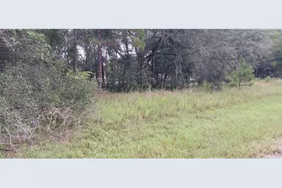 1623 E Ivydale Drive, Dunnellon, FL 34434 - Photo 3