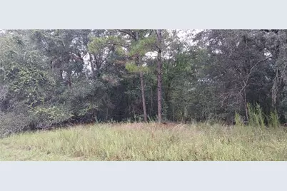 1623 E Ivydale Drive, Dunnellon, FL 34434 - Photo 1