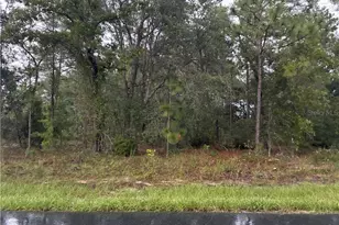 7351 N Waycross Way, Citrus Springs, FL 34433 - Photo 1