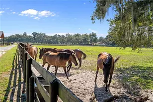 17454 S Hwy 475, Summerfield, FL 34491 - Photo 59