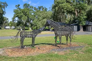 17454 S Hwy 475, Summerfield, FL 34491 - Photo 49