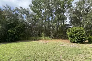 14 Drypetes Ct E, Homosassa, FL 34446 - Photo 7