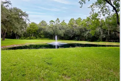 2320 N Hickory Glen Point, Hernando, FL 34442 - Photo 45