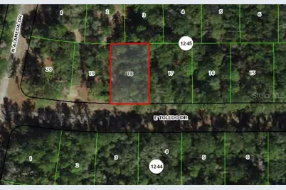 841 E Toledo Drive, Citrus Springs, FL 34434 - Photo 3