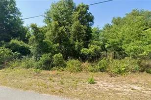 3984 E Allendale St, Inverness, FL 34453 - Photo 1