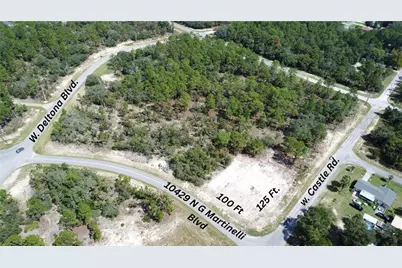 10429 N G Martinelli Boulevard, Citrus Springs, FL 34433 - Photo 5