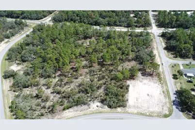 10429 N G Martinelli Boulevard, Citrus Springs, FL 34433 - Photo 9