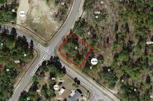 10429 N G Martinelli Blvd, Citrus Springs, FL 34433 - Photo 1
