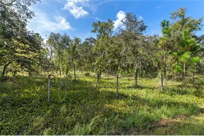 4274 W Field Street, Homosassa, FL 34446 - Photo 3
