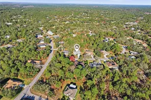 3 Ipomoea Ct, Homosassa, FL 34446 - Photo 35