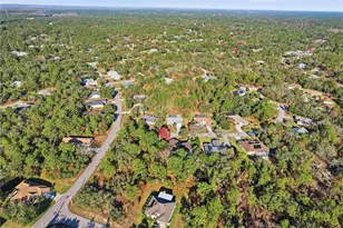 3 Ipomoea Ct, Homosassa, FL 34446 - Photo 43