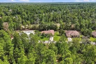 6 Dianthus Ct, Homosassa, FL 34446 - Photo 45