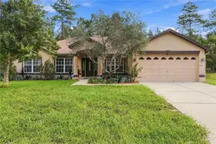 6 Dianthus Ct, Homosassa, FL 34446 - Photo 1