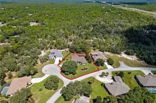1 Mintwood Point, Homosassa, FL 34446 - Photo 45