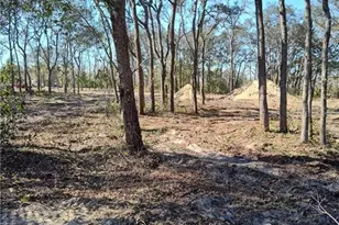 2667 W Patterson Ct, Lecanto, FL 34461 - Photo 1