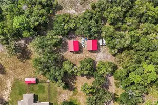 10124 N Marigold Terrace, Crystal River, FL 34428 - Photo 45